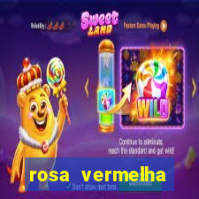 rosa vermelha (letra e cifra)